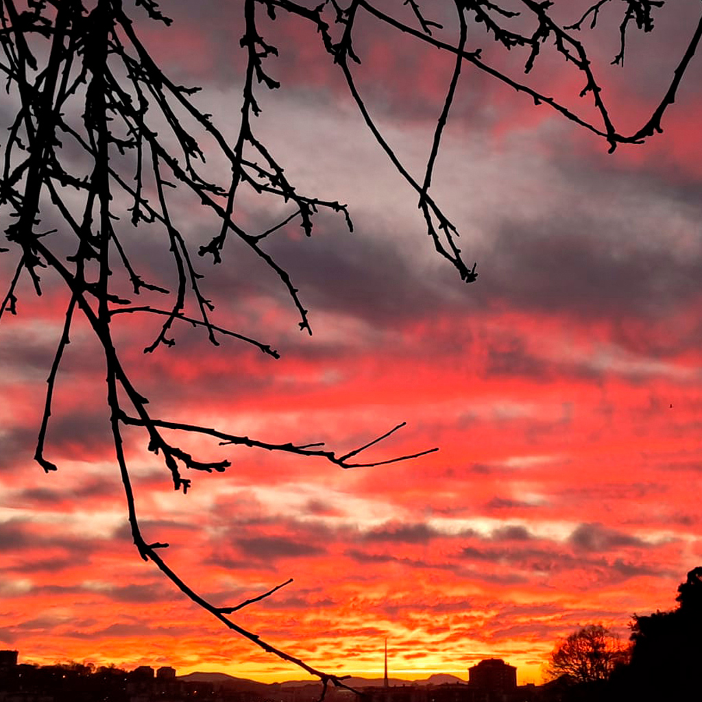 Araceli Vázquez psicóloga Irún Te sientes reacio a ir al pasado para resolver los problemas que tienes hoy