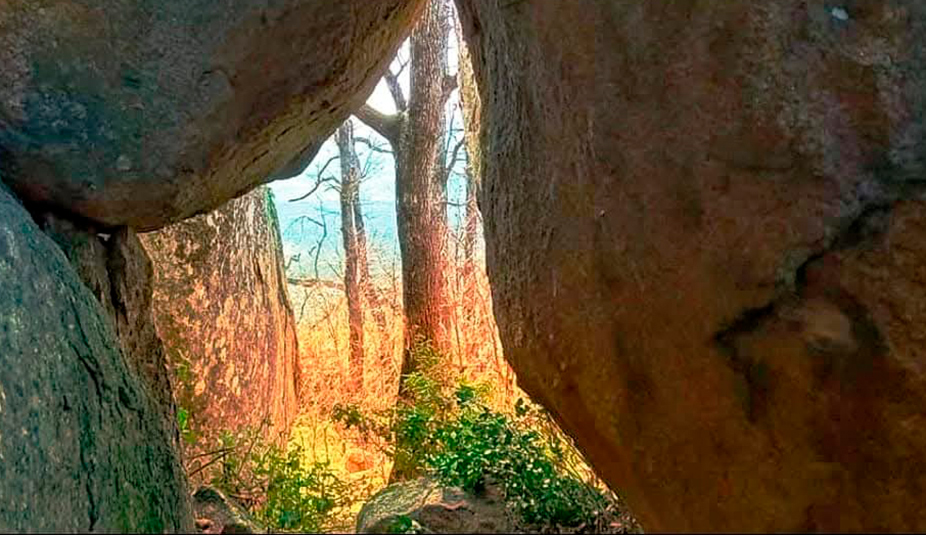 Araceli Vázquez psicóloga Irún Para que buscar ayuda si tengo la situación que tengo y eso no se puede cambiar bosque