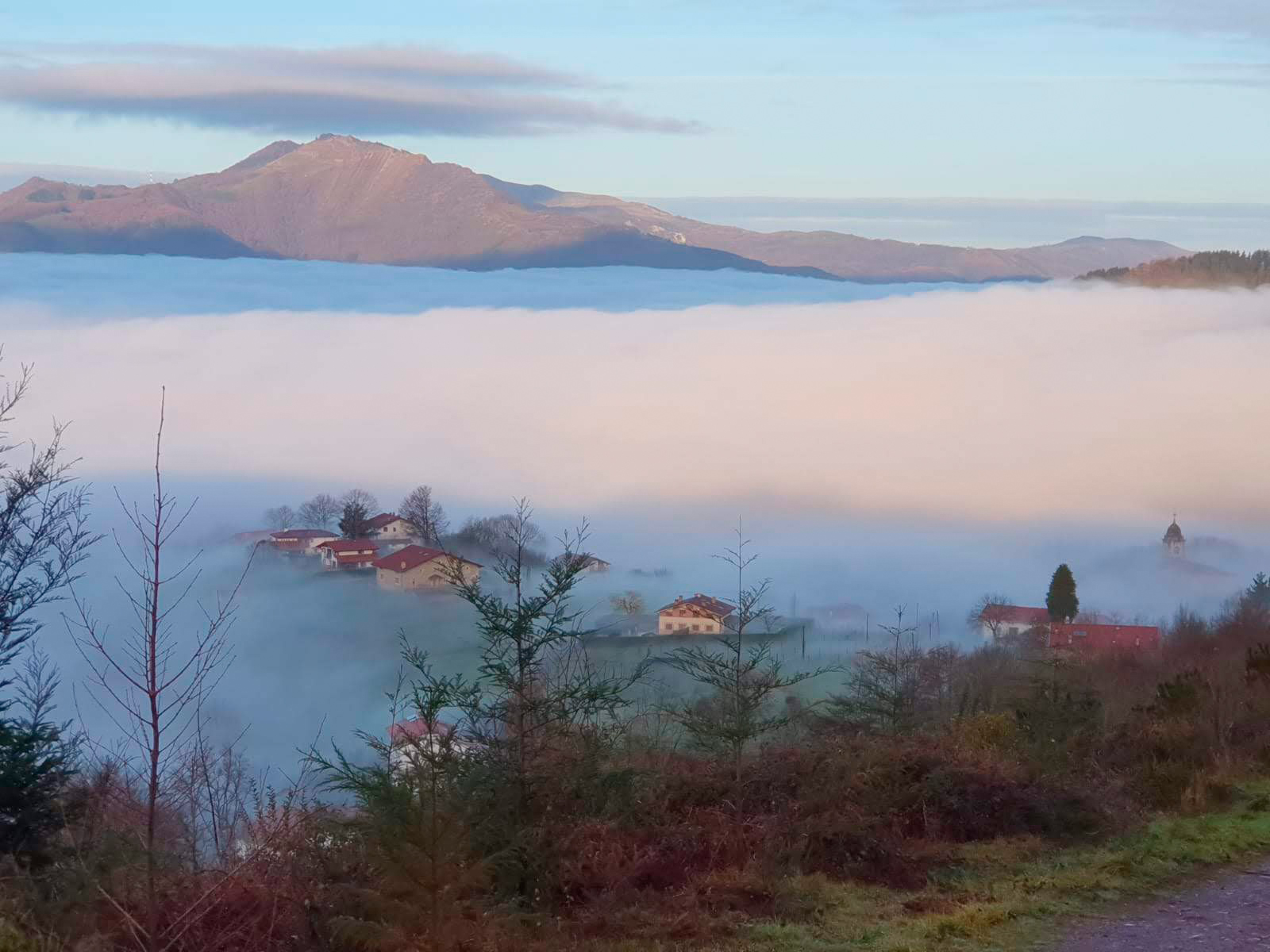 Araceli Vázquez psicóloga Irún Tipos de terapias que realizas y a qué edades están dirigidas