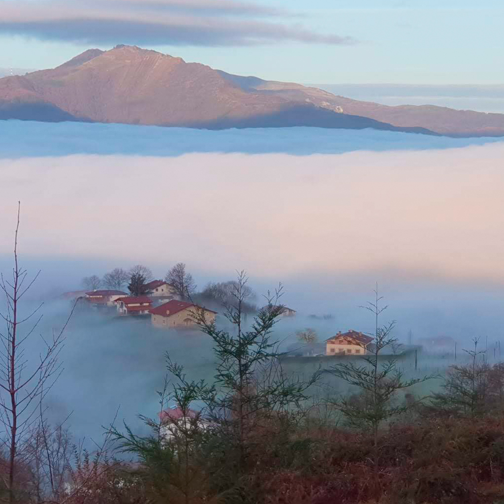 Araceli Vázquez psicóloga Irún Qué tipo de terapias realizas y a qué edades están dirigidas